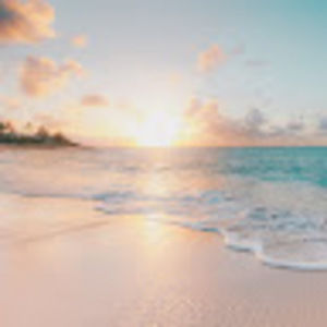 Meet your Posher, Timothy